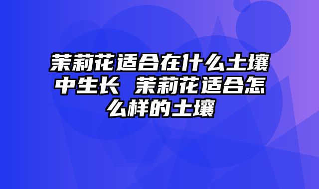 茉莉花适合在什么土壤中生长 茉莉花适合怎么样的土壤