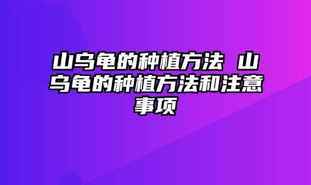 山乌龟的种植方法 山乌龟的种植方法和注意事项