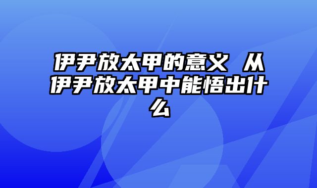 伊尹放太甲的意义 从伊尹放太甲中能悟出什么