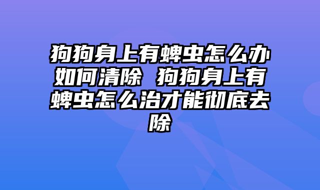 狗狗身上有蜱虫怎么办如何清除 狗狗身上有蜱虫怎么治才能彻底去除