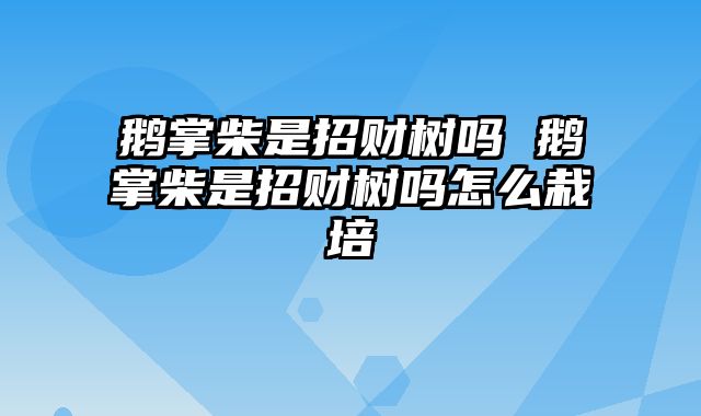 鹅掌柴是招财树吗 鹅掌柴是招财树吗怎么栽培