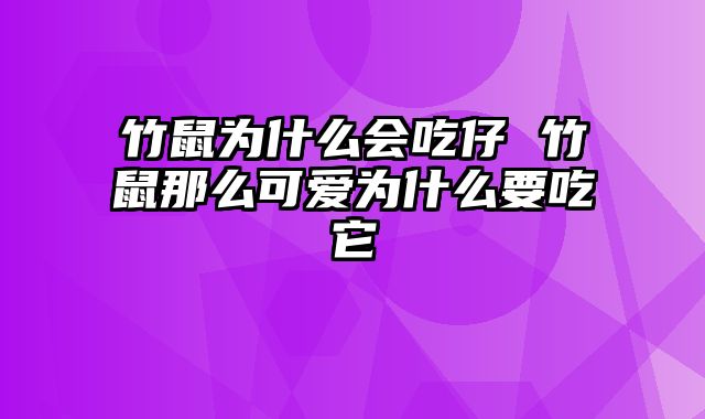 竹鼠为什么会吃仔 竹鼠那么可爱为什么要吃它