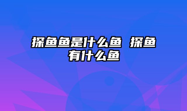 探鱼鱼是什么鱼 探鱼有什么鱼