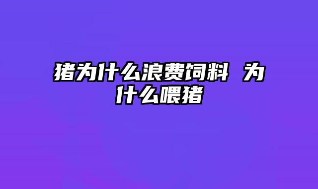 猪为什么浪费饲料 为什么喂猪