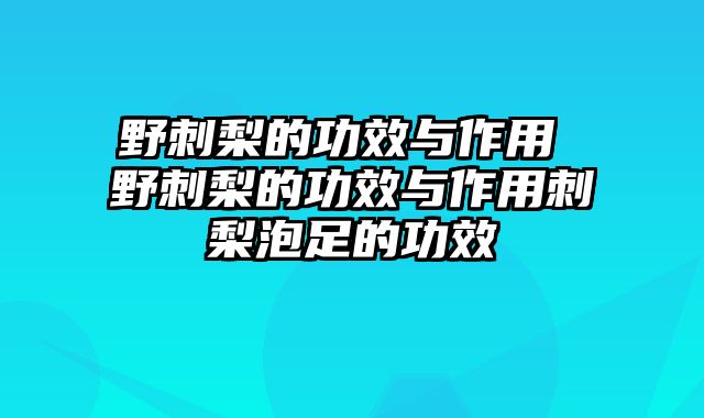 野刺梨的功效与作用 野刺梨的功效与作用刺梨泡足的功效