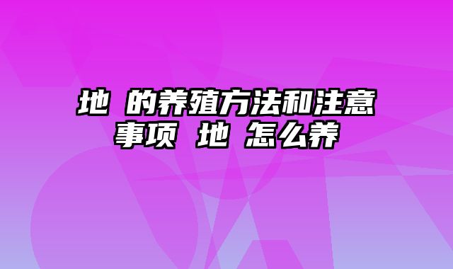 地菍的养殖方法和注意事项 地栢怎么养