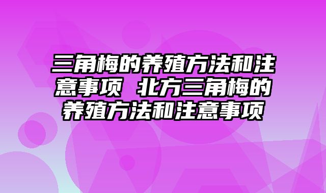 三角梅的养殖方法和注意事项 北方三角梅的养殖方法和注意事项