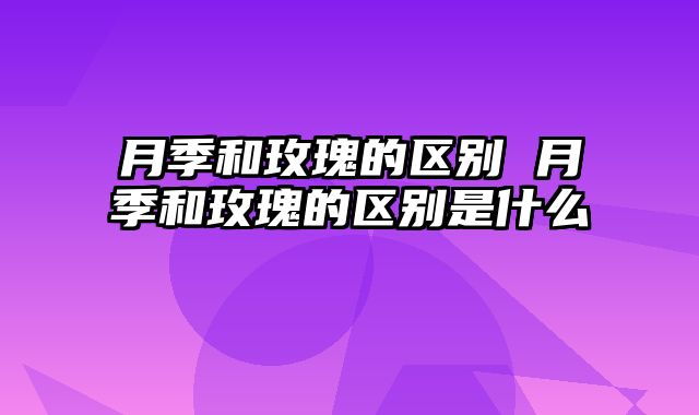 月季和玫瑰的区别 月季和玫瑰的区别是什么