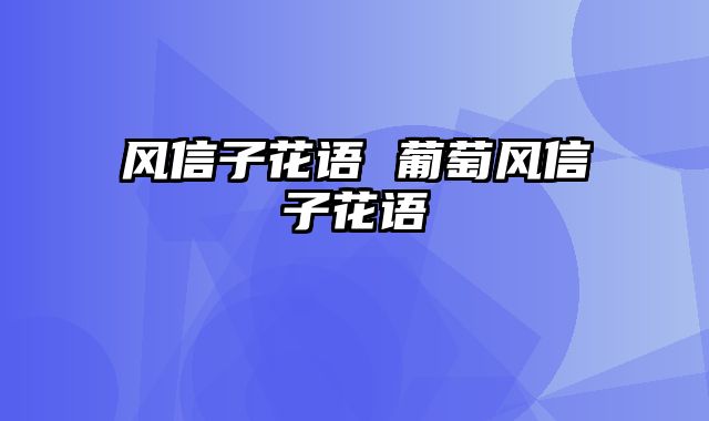 风信子花语 葡萄风信子花语