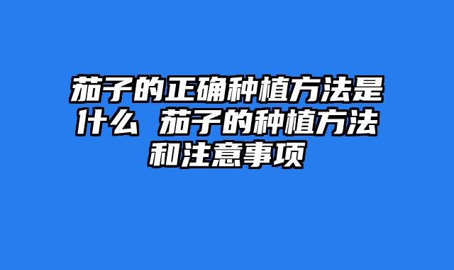 茄子的正确种植方法是什么 茄子的种植方法和注意事项