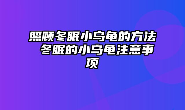 照顾冬眠小乌龟的方法 冬眠的小乌龟注意事项