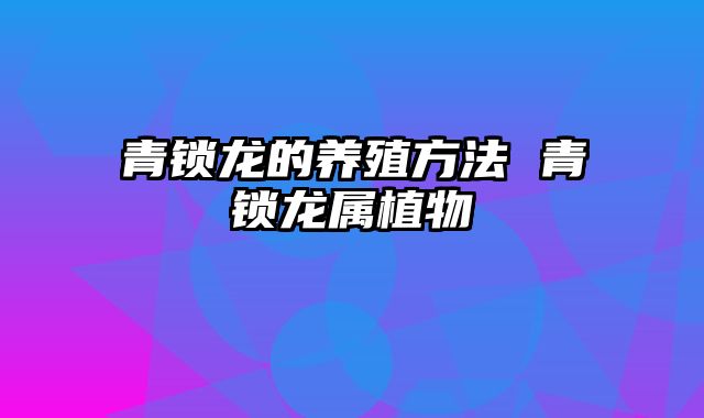 青锁龙的养殖方法 青锁龙属植物