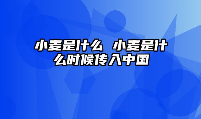 小麦是什么 小麦是什么时候传入中国