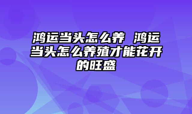 鸿运当头怎么养 鸿运当头怎么养殖才能花开的旺盛