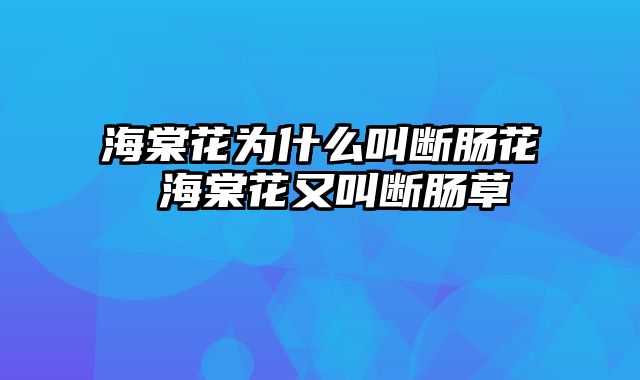 海棠花为什么叫断肠花 海棠花又叫断肠草