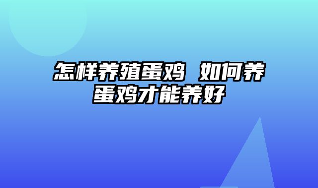 怎样养殖蛋鸡 如何养蛋鸡才能养好