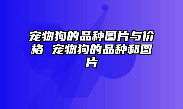 宠物狗的品种图片与价格 宠物狗的品种和图片