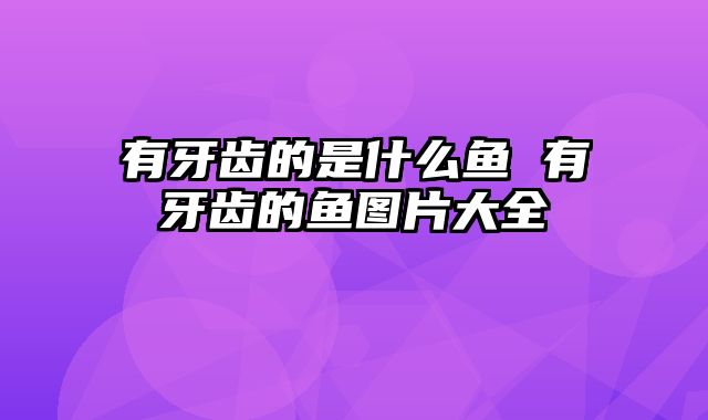 有牙齿的是什么鱼 有牙齿的鱼图片大全