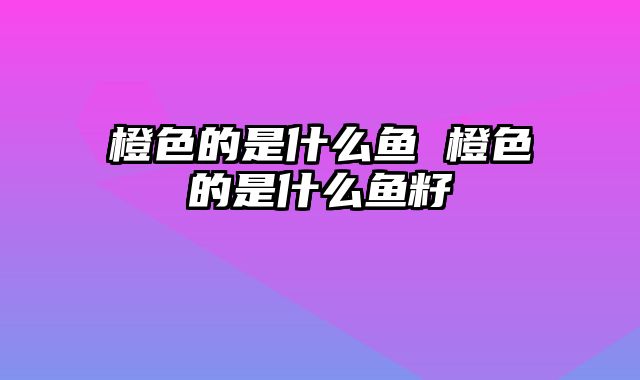 橙色的是什么鱼 橙色的是什么鱼籽