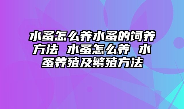 水蚤怎么养水蚤的饲养方法 水蚤怎么养 水蚤养殖及繁殖方法