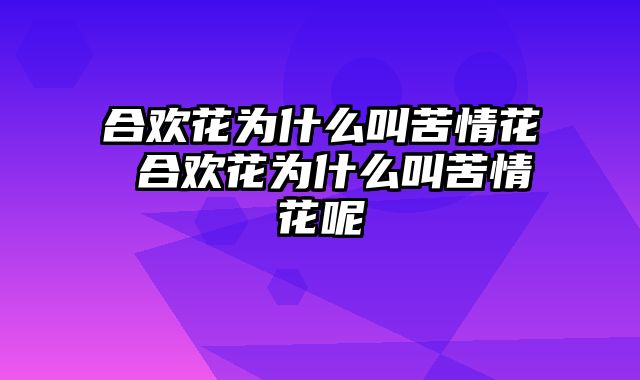 合欢花为什么叫苦情花 合欢花为什么叫苦情花呢