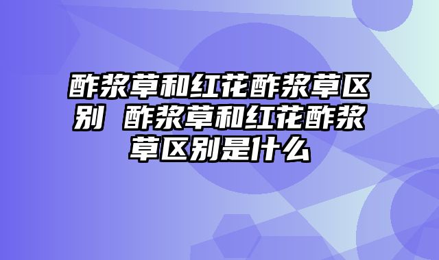 酢浆草和红花酢浆草区别 酢浆草和红花酢浆草区别是什么