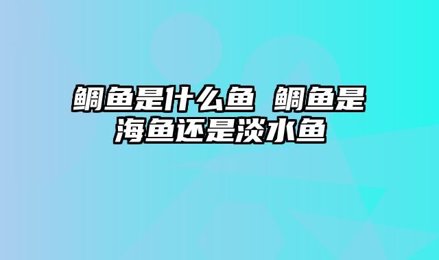 鲷鱼是什么鱼 鲷鱼是海鱼还是淡水鱼