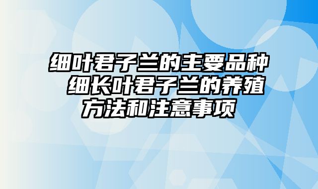 细叶君子兰的主要品种 细长叶君子兰的养殖方法和注意事项