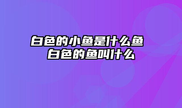 白色的小鱼是什么鱼 白色的鱼叫什么