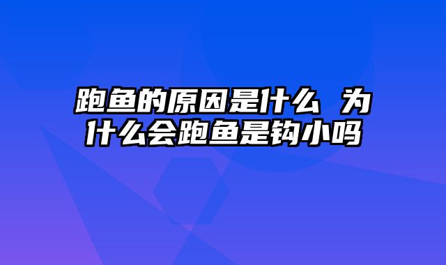 跑鱼的原因是什么 为什么会跑鱼是钩小吗