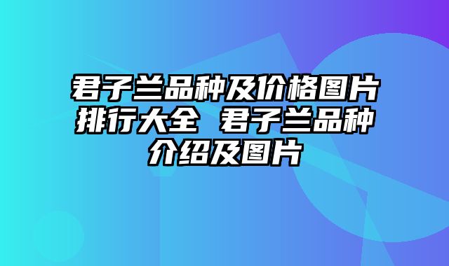 君子兰品种及价格图片排行大全 君子兰品种介绍及图片