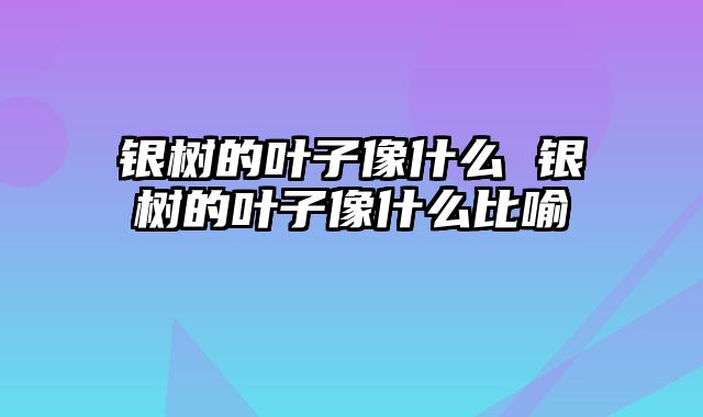 银树的叶子像什么 银树的叶子像什么比喻