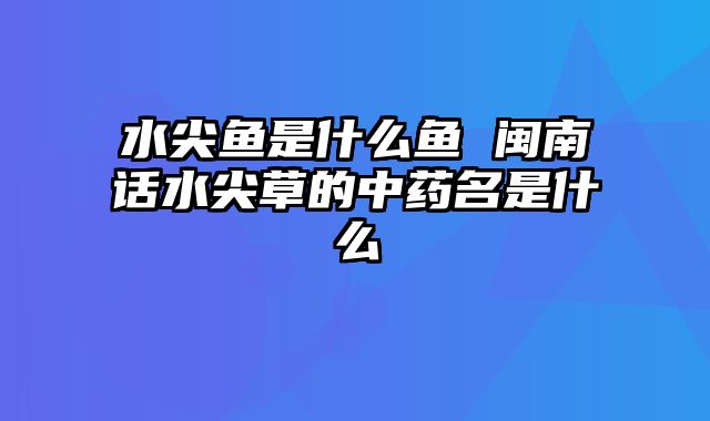 水尖鱼是什么鱼 闽南话水尖草的中药名是什么