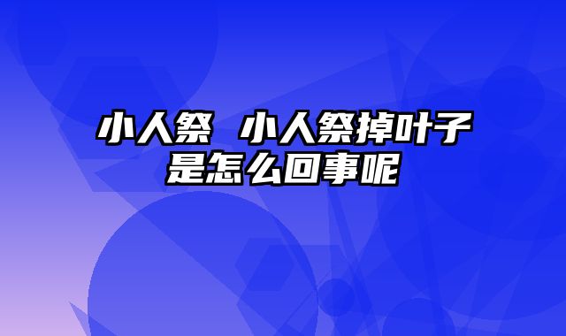 小人祭 小人祭掉叶子是怎么回事呢