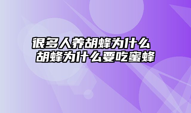 很多人养胡蜂为什么 胡蜂为什么要吃蜜蜂