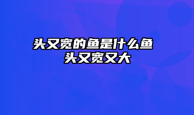 头又宽的鱼是什么鱼 头又宽又大