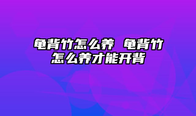 龟背竹怎么养 龟背竹怎么养才能开背