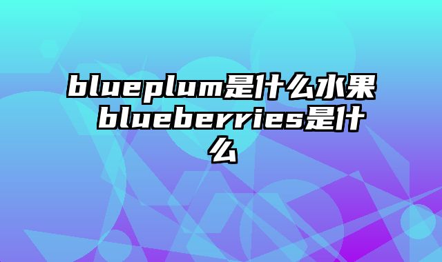 blueplum是什么水果 blueberries是什么