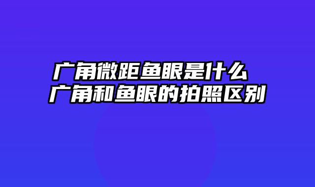 广角微距鱼眼是什么 广角和鱼眼的拍照区别