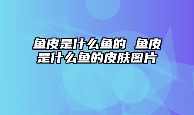 鱼皮是什么鱼的 鱼皮是什么鱼的皮肤图片