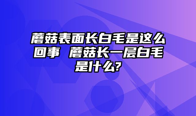 蘑菇表面长白毛是这么回事 蘑菇长一层白毛是什么?