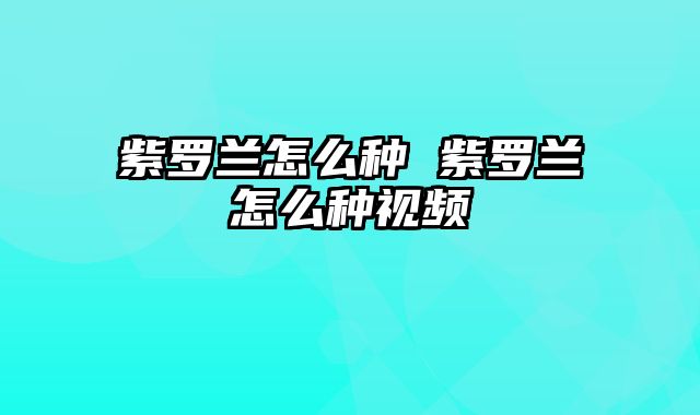 紫罗兰怎么种 紫罗兰怎么种视频