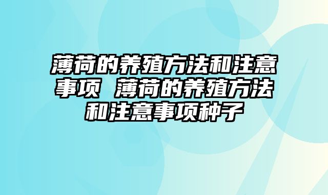 薄荷的养殖方法和注意事项 薄荷的养殖方法和注意事项种子