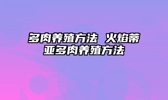 多肉养殖方法 火焰蒂亚多肉养殖方法