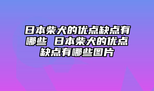 日本柴犬的优点缺点有哪些 日本柴犬的优点缺点有哪些图片