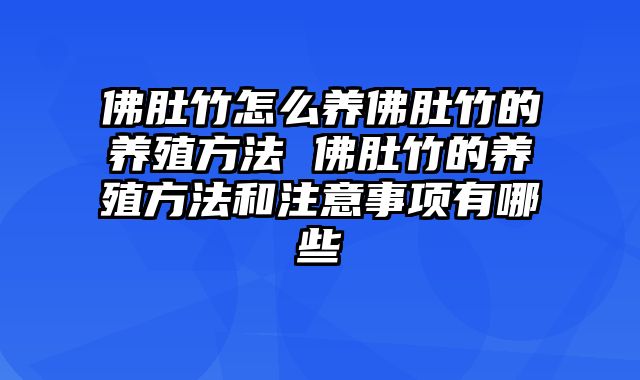 佛肚竹怎么养佛肚竹的养殖方法 佛肚竹的养殖方法和注意事项有哪些