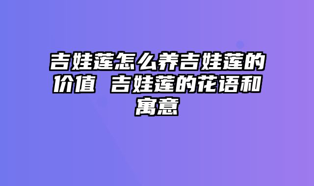 吉娃莲怎么养吉娃莲的价值 吉娃莲的花语和寓意