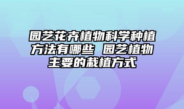 园艺花卉植物科学种植方法有哪些 园艺植物主要的栽植方式