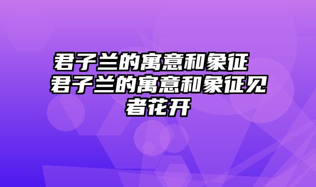 君子兰的寓意和象征 君子兰的寓意和象征见者花开