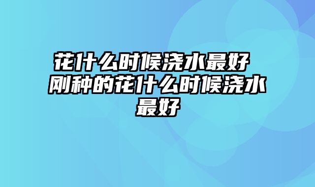 花什么时候浇水最好 刚种的花什么时候浇水最好